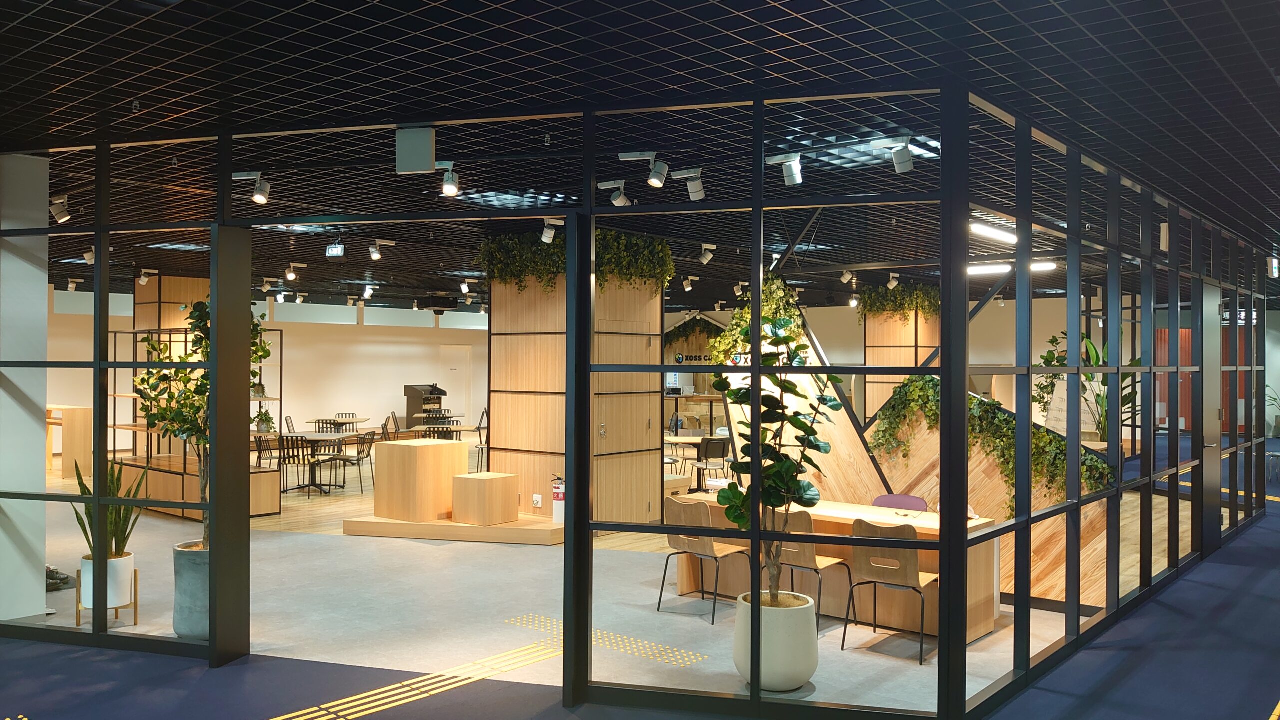 熊本オフィス — XOSS POINT